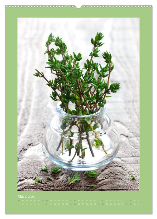 Kräuter, Gewürze und Öl (CALVENDO Wandkalender 2026)