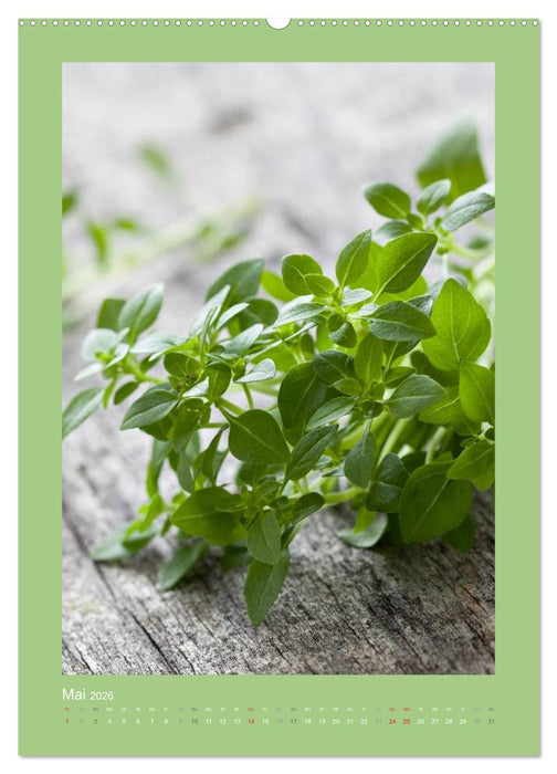 Kräuter, Gewürze und Öl (CALVENDO Wandkalender 2026)