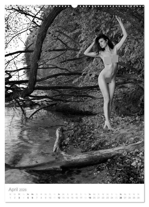 simbiosa ... Künstlerische Aktfotografie (CALVENDO Premium Wandkalender 2026)