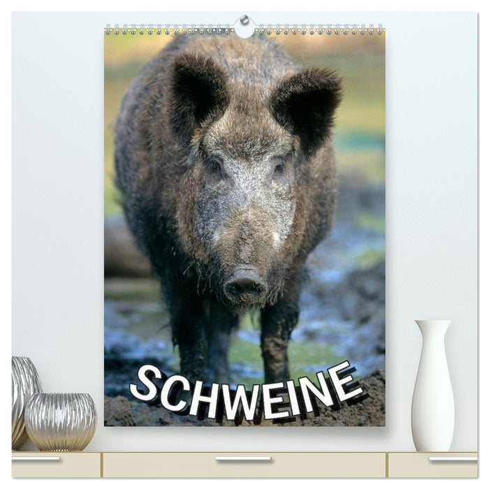 Schweine 2026 (CALVENDO Premium Wandkalender 2026)