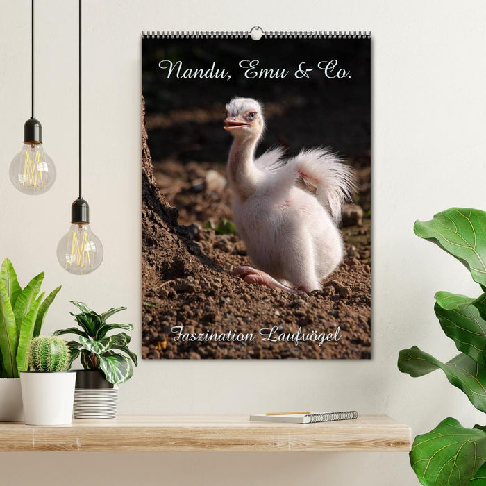 Nandu, Emu & Co. (CALVENDO Wandkalender 2026)