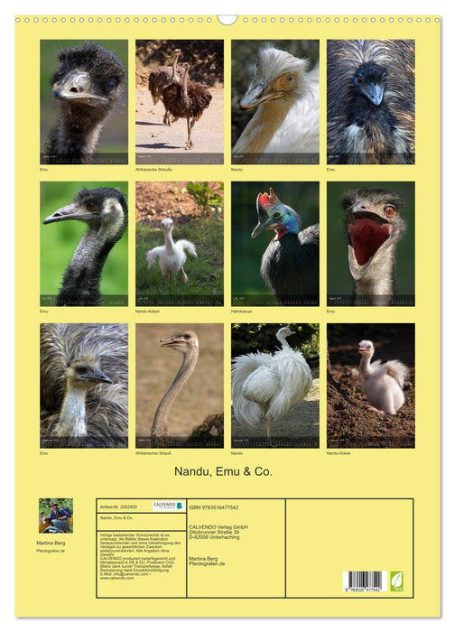 Nandu, Emu & Co. (CALVENDO Wandkalender 2026)