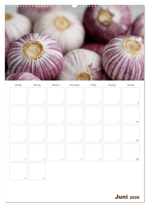 Küche !!! 2026 (CALVENDO Premium Wandkalender 2026)