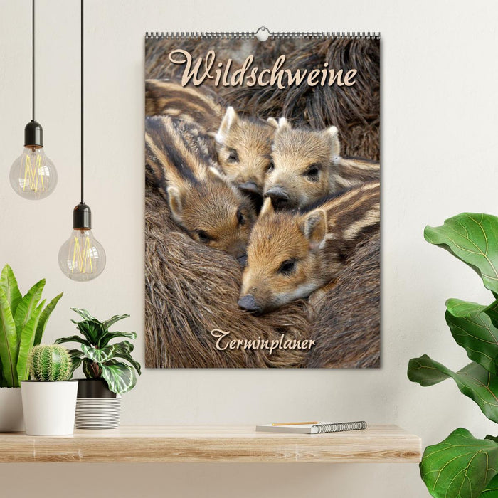 Wildschweine (CALVENDO Wandkalender 2026)