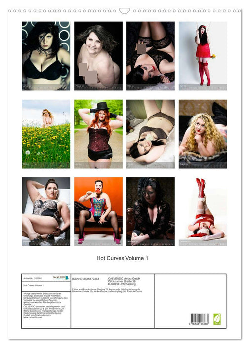 Hot Curves Volume 1 (CALVENDO Wandkalender 2026)