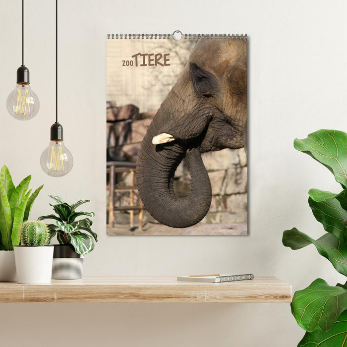 Zootiere (CALVENDO Wandkalender 2026)