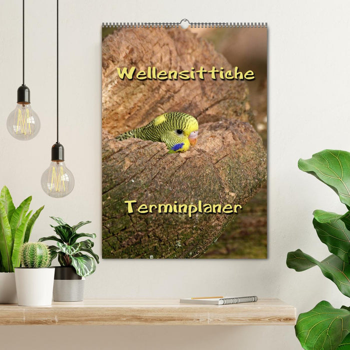 Wellensittiche Terminplaner (CALVENDO Wandkalender 2026)
