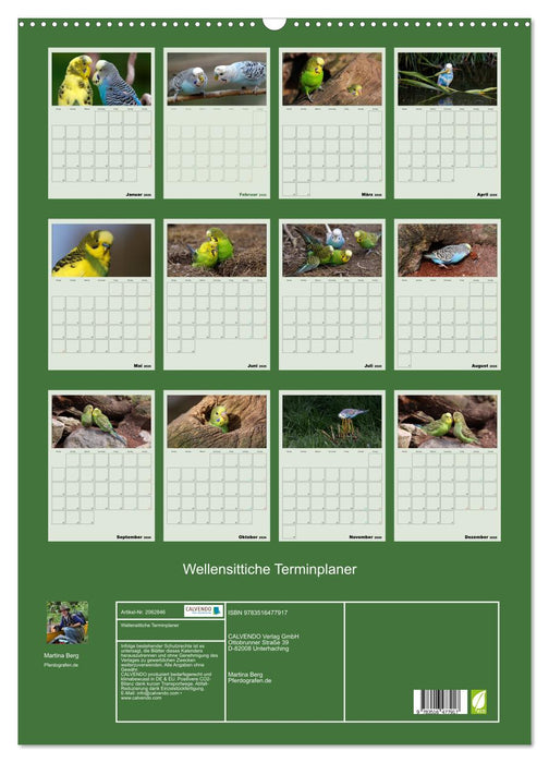 Wellensittiche Terminplaner (CALVENDO Wandkalender 2026)