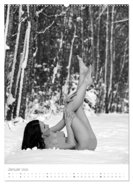 simbiosa ... Künstlerische Aktfotografie (CALVENDO Wandkalender 2026)