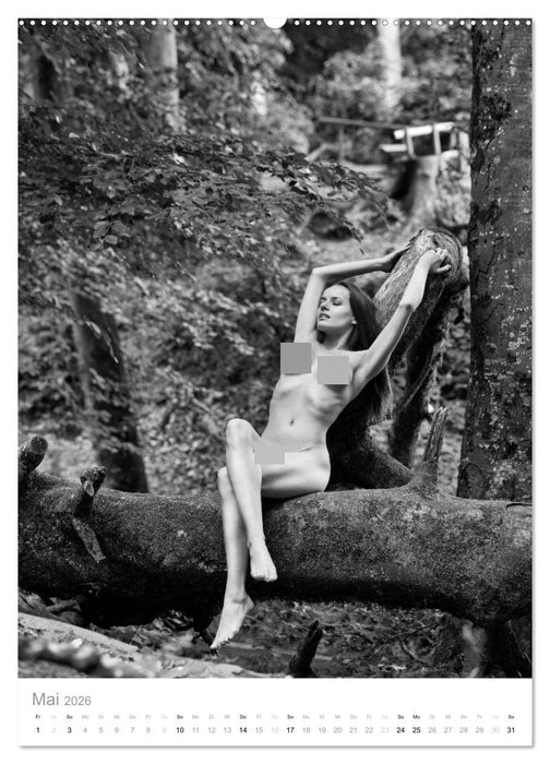simbiosa ... Künstlerische Aktfotografie (CALVENDO Wandkalender 2026)