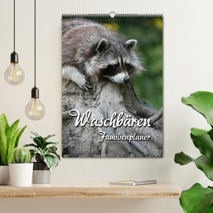 Waschbären Familienplaner (CALVENDO Wandkalender 2026)
