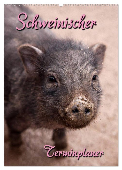 Schweinischer Terminplaner (CALVENDO Wandkalender 2026)
