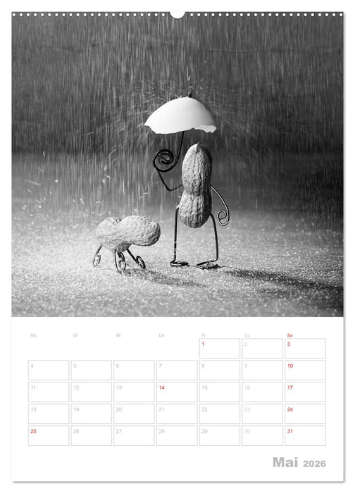 Simple Things 2026 (CALVENDO Wandkalender 2026)