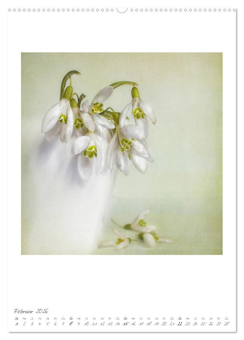 Flower Dreams (CALVENDO Premium Wandkalender 2026)