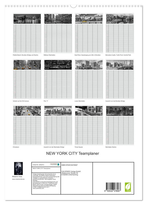 NEW YORK CITY Teamplaner (CALVENDO Premium Wandkalender 2026)