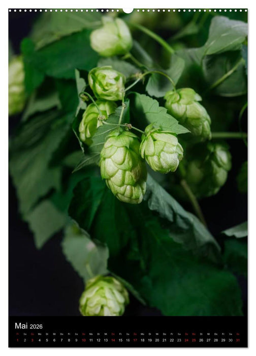 Bier (CALVENDO Premium Wandkalender 2026)