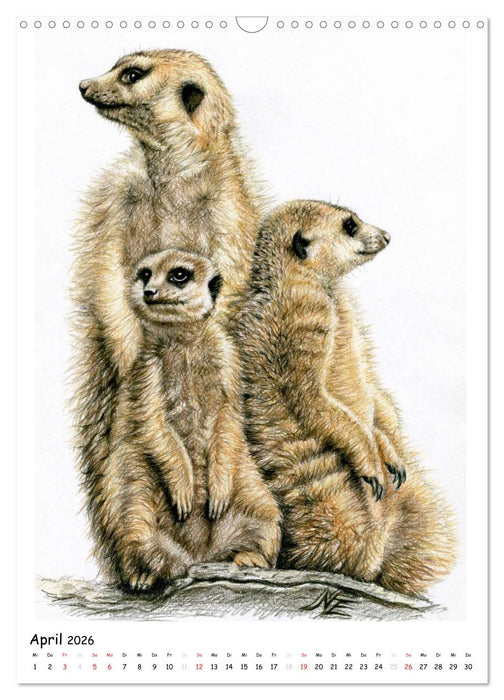 Wildlife Portraits (CALVENDO Wandkalender 2026)