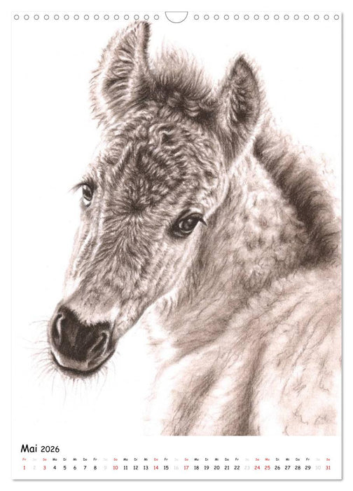 Wildlife Portraits (CALVENDO Wandkalender 2026)