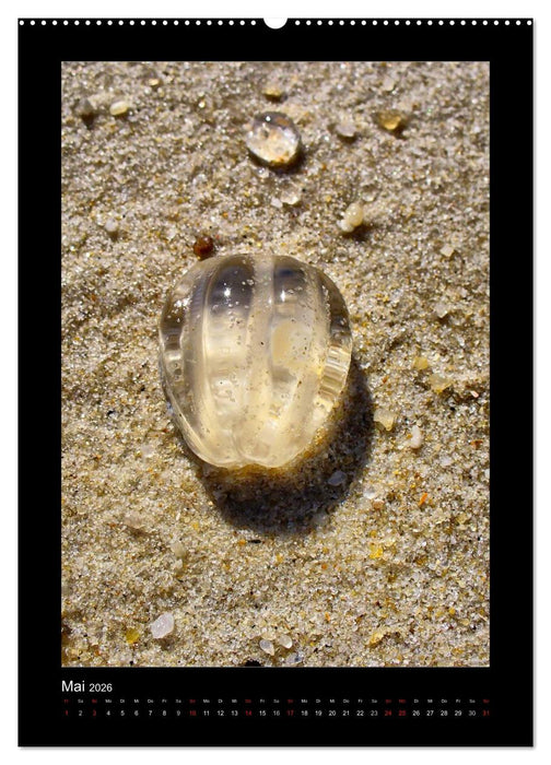 Sylt Impressionen (CALVENDO Wandkalender 2026)