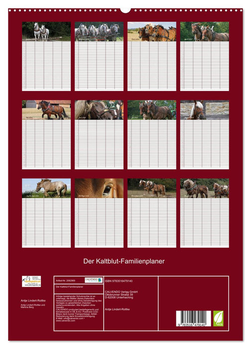 Der Kaltblut-Familienplaner (CALVENDO Premium Wandkalender 2026)