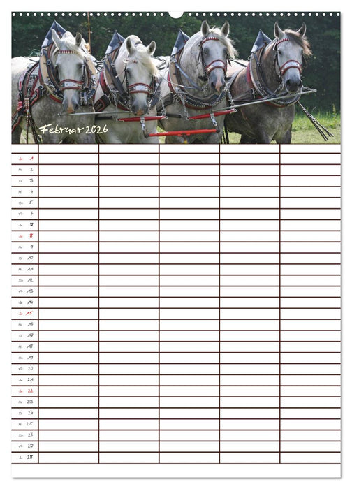 Der Kaltblut-Familienplaner (CALVENDO Premium Wandkalender 2026)