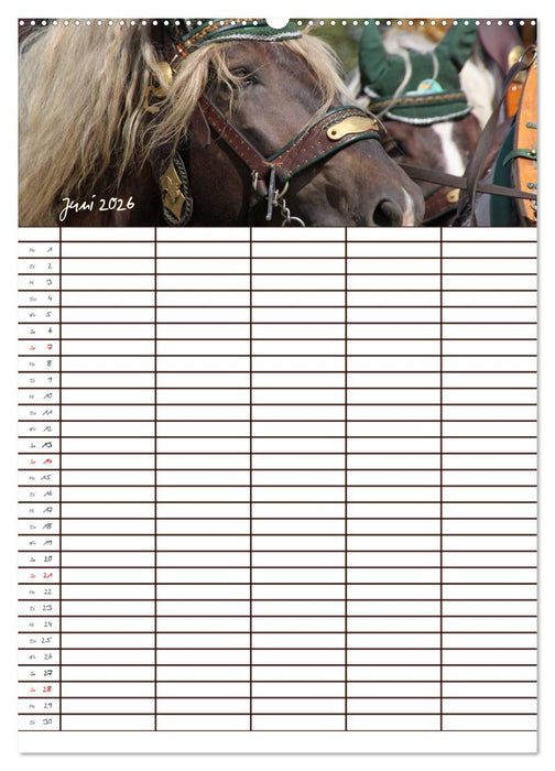 Der Kaltblut-Familienplaner (CALVENDO Premium Wandkalender 2026)