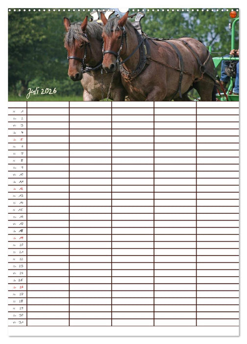 Der Kaltblut-Familienplaner (CALVENDO Premium Wandkalender 2026)