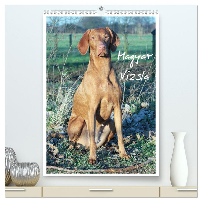 Magyar Vizsla (CALVENDO Premium Wandkalender 2026)