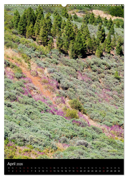 Gran Canaria - Miniaturkontinent im Atlantik (CALVENDO Premium Wandkalender 2026)