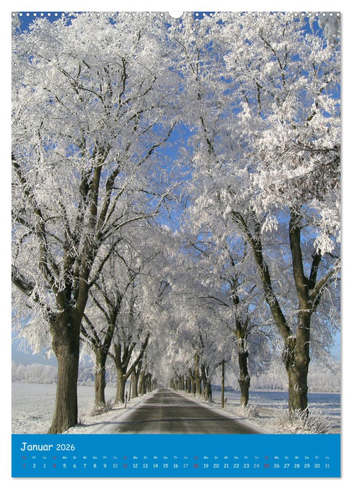 Spaziergang durch Augsburg (CALVENDO Wandkalender 2026)