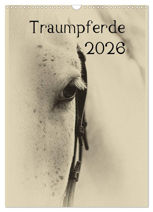 Traumpferde 2026 (CALVENDO Wandkalender 2026)