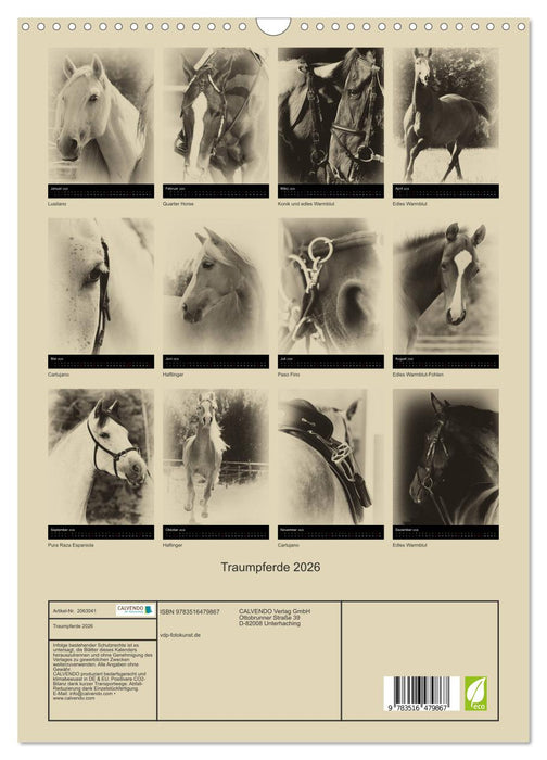 Traumpferde 2026 (CALVENDO Wandkalender 2026)