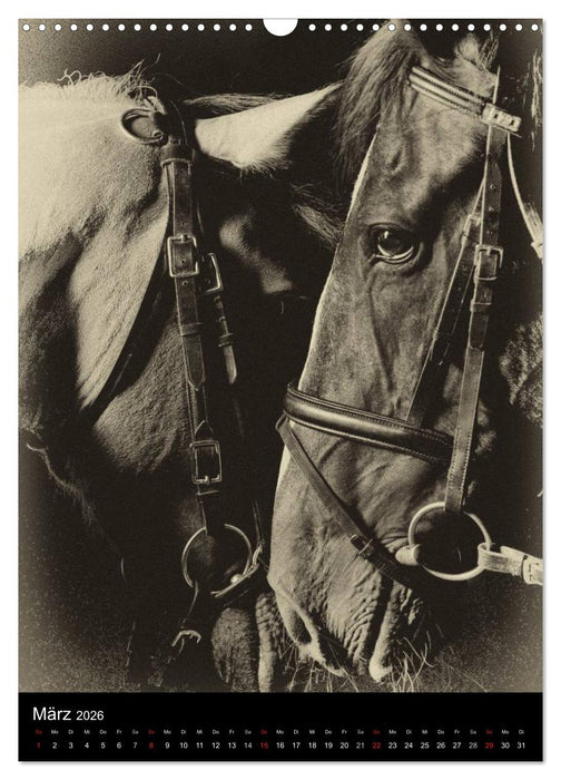 Traumpferde 2026 (CALVENDO Wandkalender 2026)