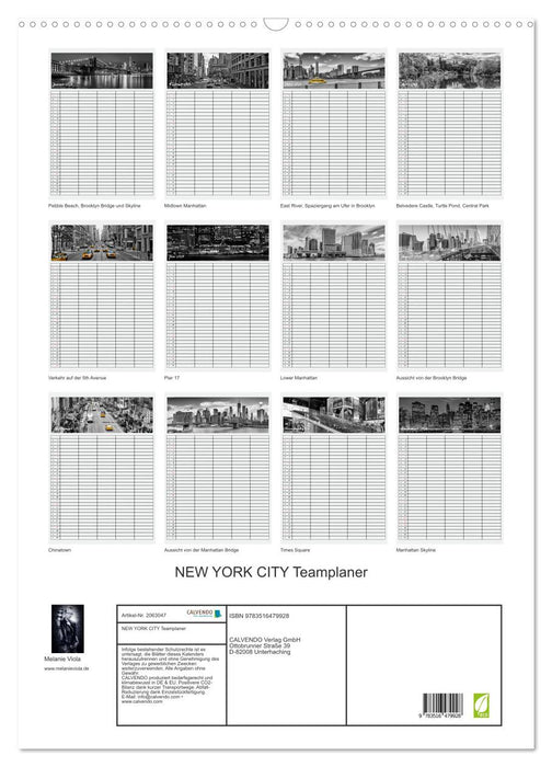 NEW YORK CITY Teamplaner (CALVENDO Wandkalender 2026)