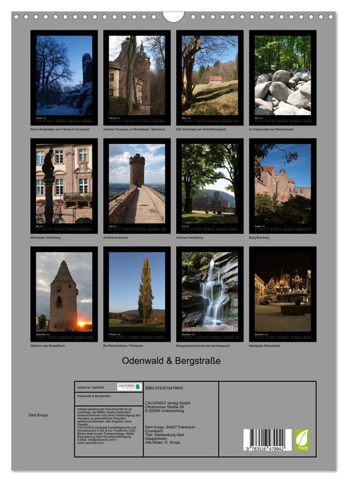 Odenwald & Bergstraße (CALVENDO Wandkalender 2026)