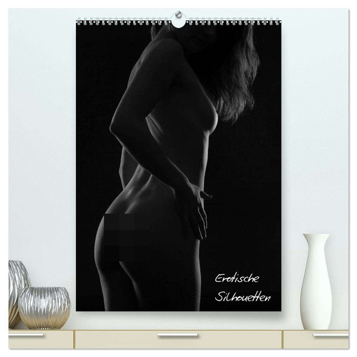 Erotische Silhouetten / CH-Version (CALVENDO Premium Wandkalender 2026)