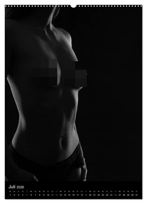 Erotische Silhouetten / CH-Version (CALVENDO Premium Wandkalender 2026)