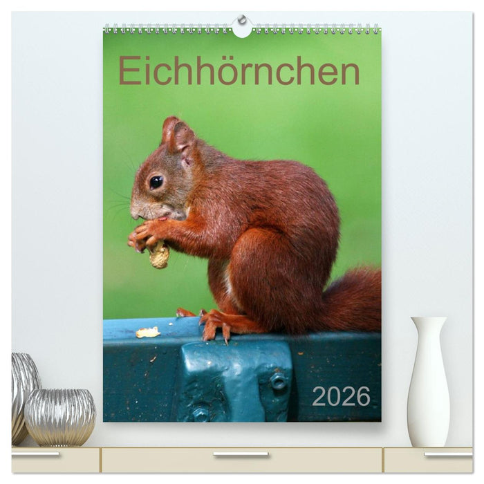 Eichhörnchen (CALVENDO Premium Wandkalender 2026)