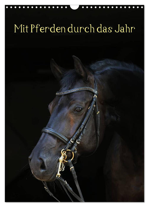 Mit Pferden durch das Jahr (CALVENDO Wandkalender 2026)