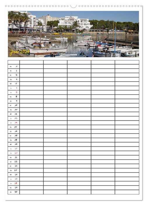 Ibiza / Familienplaner (CALVENDO Wandkalender 2026)
