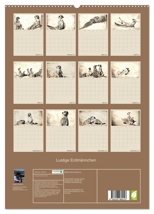 Lustige Erdmännchen (CALVENDO Premium Wandkalender 2026)