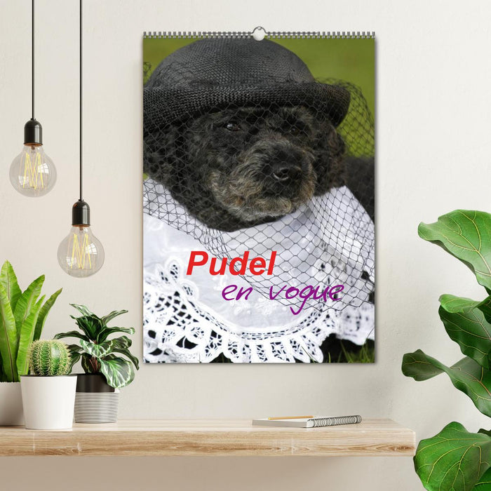 Pudel en vogue (CALVENDO Wandkalender 2026)