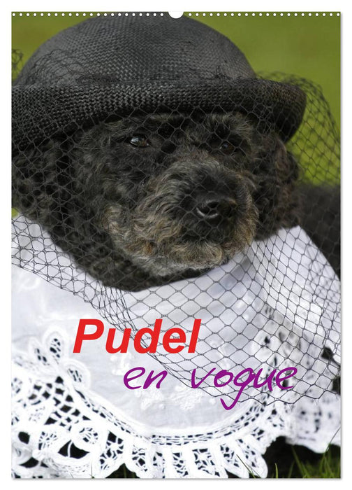Pudel en vogue (CALVENDO Wandkalender 2026)