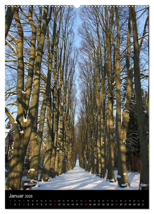 Spaziergang durch Bad Pyrmont (CALVENDO Wandkalender 2026)