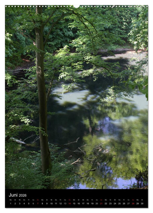 Spaziergang durch Bad Pyrmont (CALVENDO Wandkalender 2026)