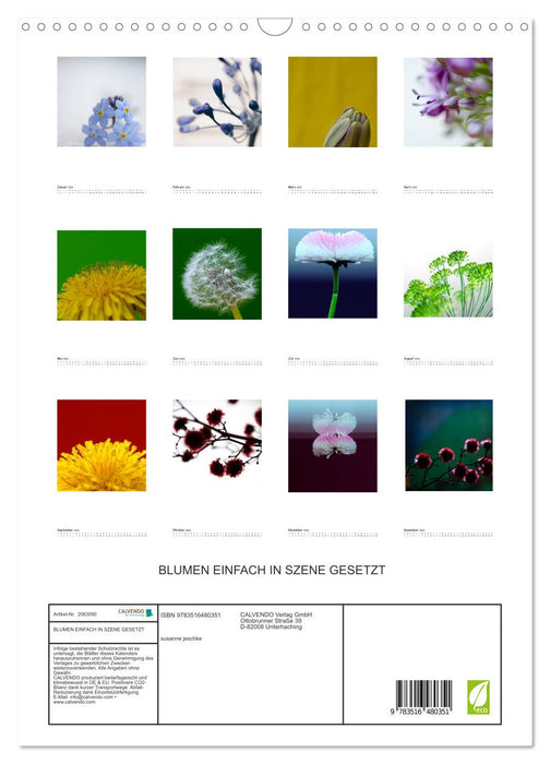 BLUMEN EINFACH IN SZENE GESETZT (CALVENDO Wandkalender 2026)
