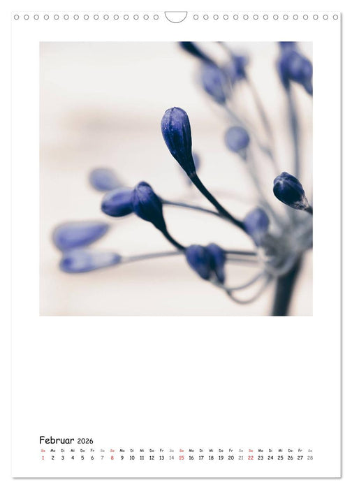 BLUMEN EINFACH IN SZENE GESETZT (CALVENDO Wandkalender 2026)
