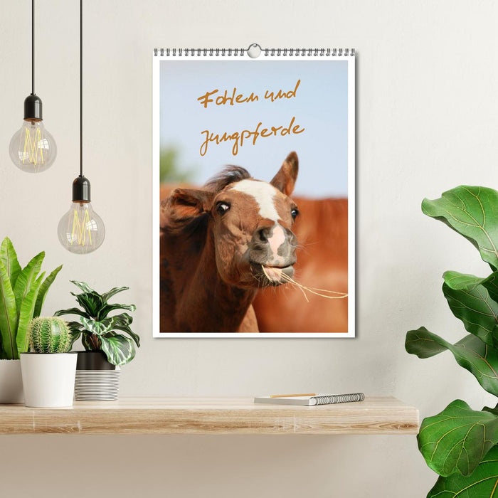 Fohlen und Jungpferde (CALVENDO Wandkalender 2026)