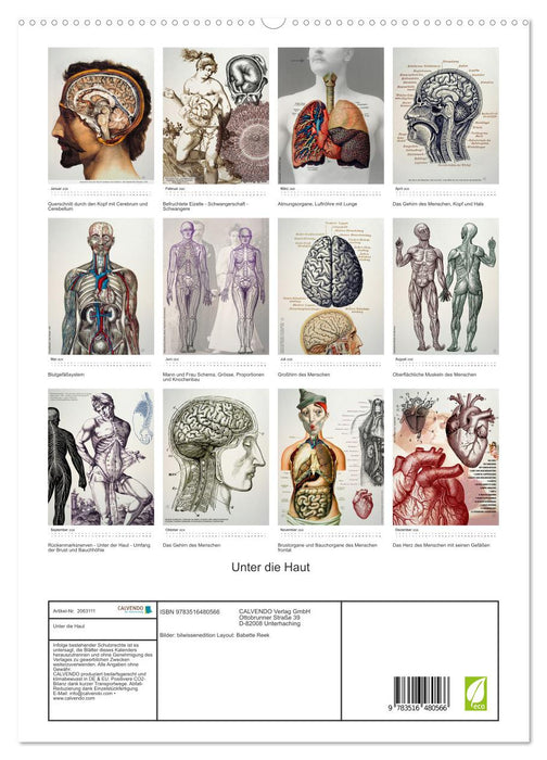 Unter die Haut (CALVENDO Premium Wandkalender 2026)