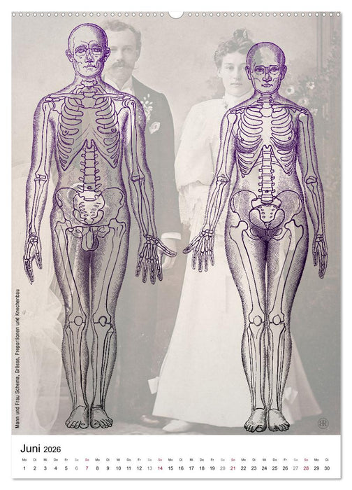 Unter die Haut (CALVENDO Premium Wandkalender 2026)